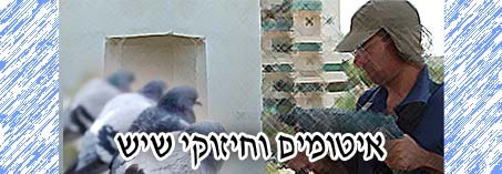 ������ ���� ���